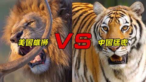 中国动物vs外国人视频